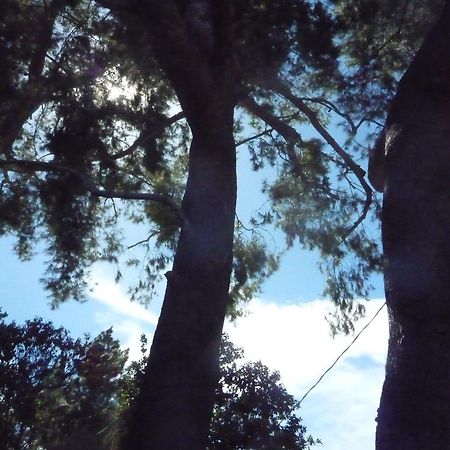 Woodland Hills Calabasas Guesthouses Los Angeles Eksteriør billede