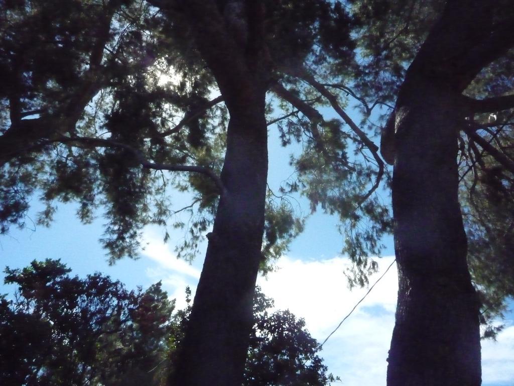 Woodland Hills Calabasas Guesthouses Los Angeles Eksteriør billede